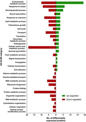 The International <mark class="highlighted">Space Station</mark> Environment Triggers Molecular Responses in Aspergillus niger